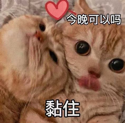 瑟瑟头像很开放的头像