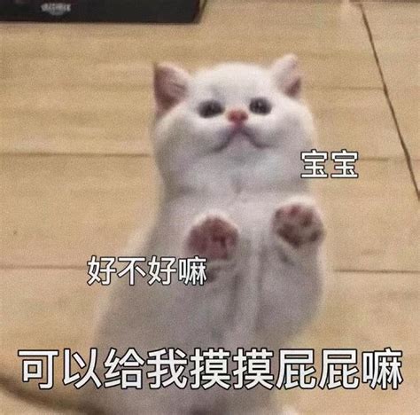 瑟瑟头像很开放的头像