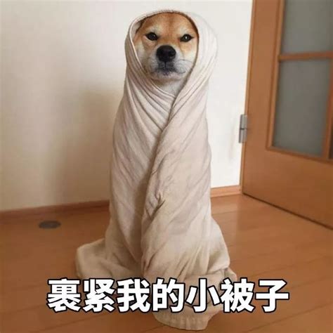 瑟瑟头像很开放的头像